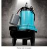 imageLittle Giant RFSN10 115Volt Maximum 13Amp  12 HP Pump Down Piggyback Tethered Float Switch for Pond Sump Sewage or Effluent Systems 20ft Cord Grey 59921020 Cord  115V Plug  Max 12 HP
