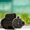 imageLittle Giant TE55MDHC 115230 Volt 13 HP 1920 GPH NonSubmersible Highly Corrosive Chemical Transfer Magnetic Drive Pump No Cord Black 585604115230 Volt  1200 GPH
