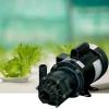 imageLittle Giant TE55MDHC 115230 Volt 13 HP 1920 GPH NonSubmersible Highly Corrosive Chemical Transfer Magnetic Drive Pump No Cord Black 585604115230 Volt  3180 GPH