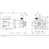 imageLittle Giant TE55MDHC 115230 Volt 13 HP 1920 GPH NonSubmersible Highly Corrosive Chemical Transfer Magnetic Drive Pump No Cord Black 585604115230 Volt  3180 GPH
