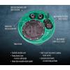 imageLittle Giant 10SP2V2D Pit Plus SR Sewage Basin System with 115Volt 12 HP 7200 GPH 10SCCIM Sewage Pump ECM switch and 20Ft Cord GreenBlueBlack 51168520x30  10SCCIM  ECM Switch  No Alarm  2 Vent