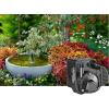 imageLittle Giant PE2HPW 115 Volt 140 HP 300 GPH Epoxy Encapsulated Direct Drive Submersible Pump with 6Ft Cord and Flow Control Valve Black 56660914 MNPT Discharge