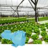 image:imageLittle Giant LSPH200C 2 HP 230 Volts 84 GPM 57 PSI High Pressure SprinklerIrrigation Pump Blue 5582982 HP Brass Impeller 230 V High Pressure